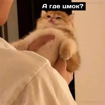 продолжение Смешная картинка №724019 :3