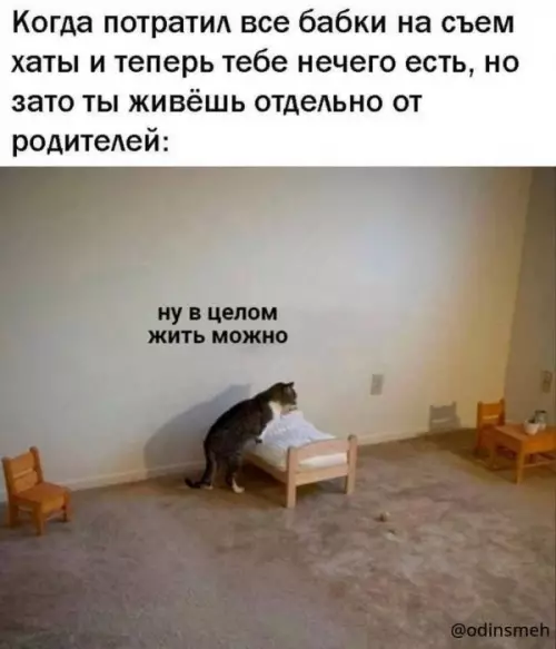 Смешная картинка №656955
