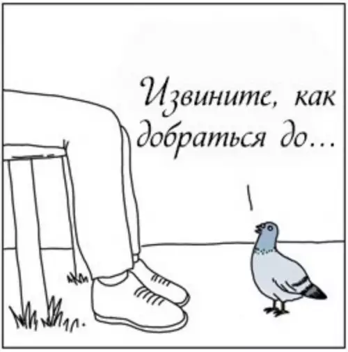 Смешная картинка №597675 А потом удивляются, что на них какают)
