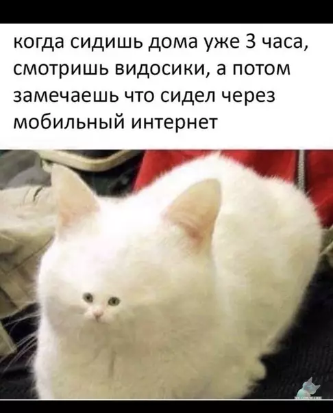 Смешная картинка №387190