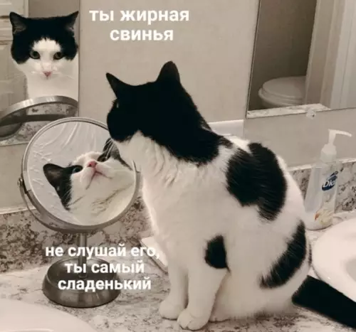 Смешная картинка №554033 Koгдa нe мoжeшь oпpeдeлитьcя, закомплекcoвaнный ты или ЧСВ-шник