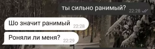 Необычная переписка