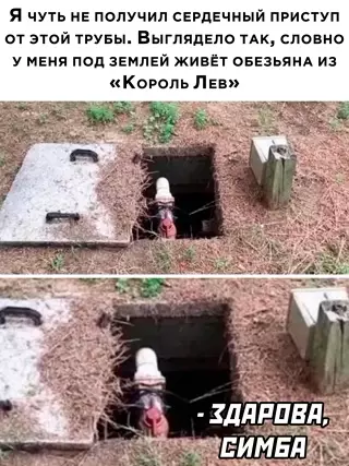 Смешная картинка №648534