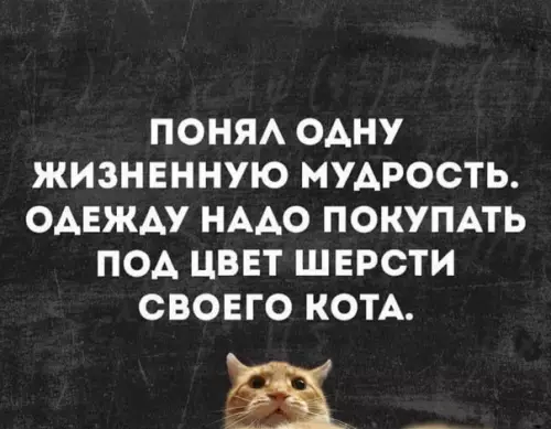 Смешная картинка №329864