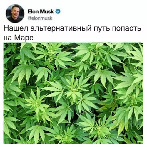Смешная картинка №301685 Кажется, мы его теряем