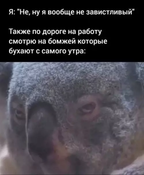 Когда зависть сильнее логики 😂 - Я: Не, ну я вообще не завистливый Также по дороге