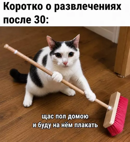 Развлечения после 30: уровень бог 🧹😂 - Коротко о развлечениях после 30: щас пол домаю и буду