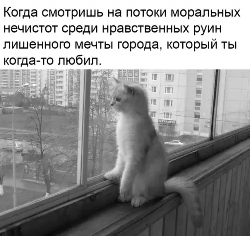 Смешная картинка №343727