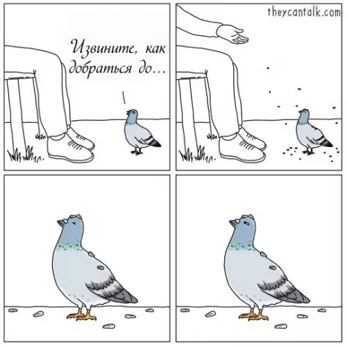 Смешная картинка №240686