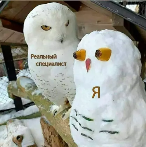 Уровни мастерства: ты vs профи 🦉😂 - Реальный специалист Я