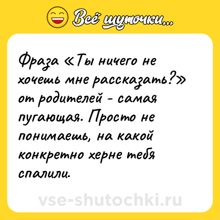 Шутка: Фраза «Ты ничего не хочешь мне рассказать?» от родителей - самая пугающая. Просто не понимаешь, на какой конкретно херне тебя спалили.