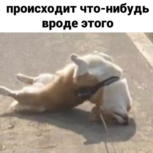 продолжение Смешная картинка №638493 Вызовите экзорциста