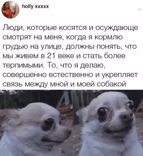 Смешная картинка №377951