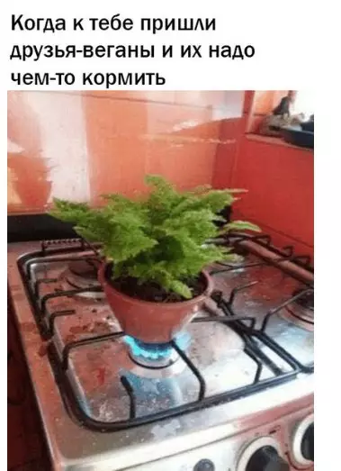 Смешная картинка №212743 веганы