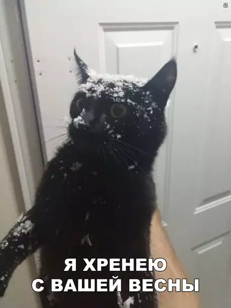 Смешная картинка №261024