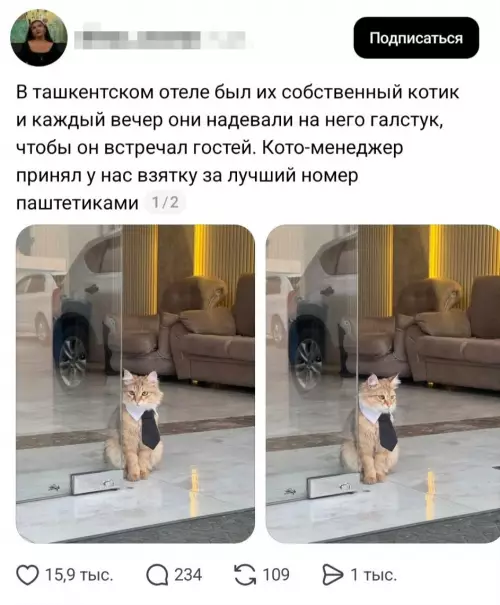 Смешная картинка №808359