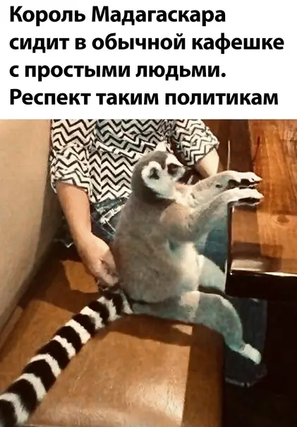 Смешная картинка №588140