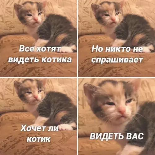 Смешная картинка №743715