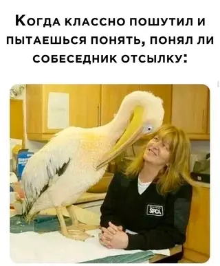 Смешная картинка №667442