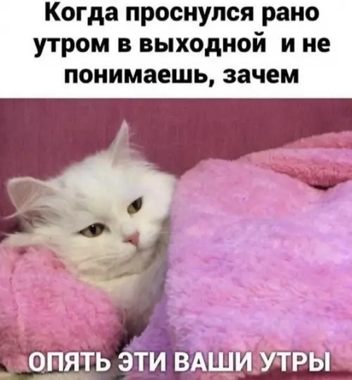 Смешная картинка №485657