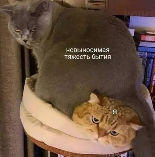 Смешная картинка №797970