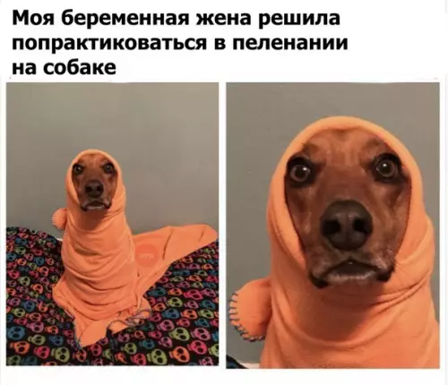 Смешная картинка №241383