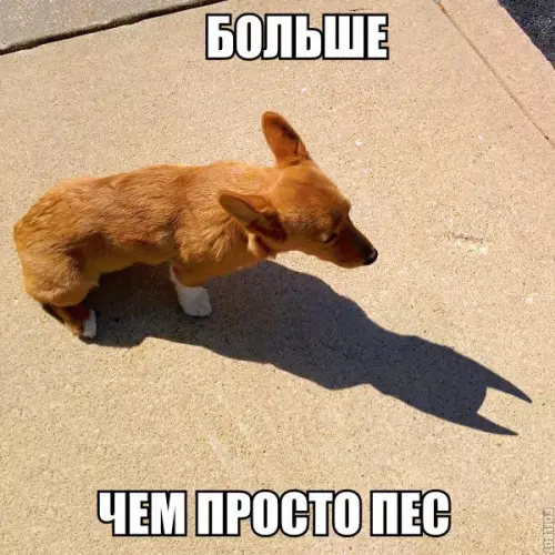 Смешная картинка №173268