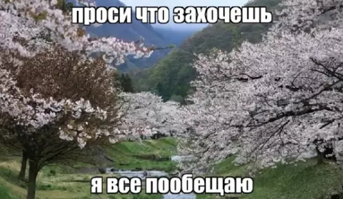Смешная картинка №778522