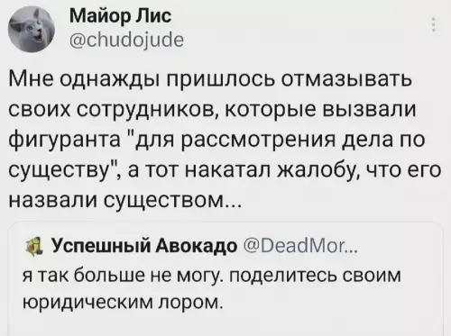 Когда юридический язык зашел слишком далеко ⚖️😂 - Майор Лис chudojude: Мне однажды пришлось отмазывать своих сотрудников, которые