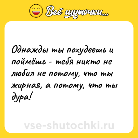 Шутка: Однажды ты похудеешь и поймёшь - тебя никто не любил не потому, что ты жирная, а потому, что ты дура!