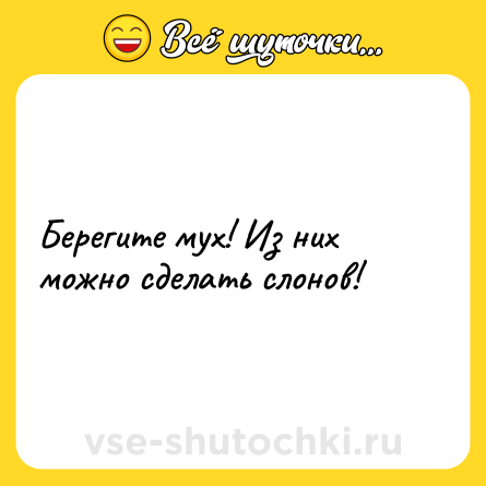 Шутка: Берегите мух! Из них можно сделать слонов!