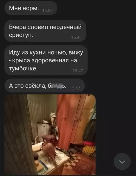 Смешная картинка №524275 А потом подумал "Как свёкла могла прийти и залезть на стол?!"
