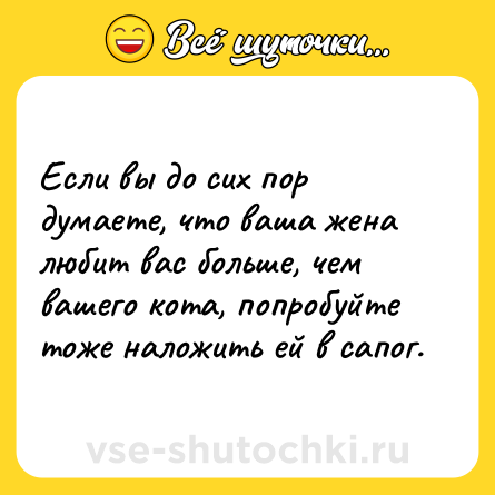 Шутка: Если вы до сих пор думаете, что ваша жена любит вас больше, чем вашего кота, попробуйте тоже наложить ей в сапог.