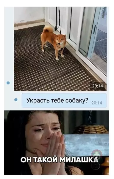 Смешная картинка №581454 Вот она - романтика! А не эти ваши цветы-конфеты ?