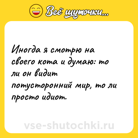 Шутка: Иногда я смотрю на своего кота и думаю: то ли он видит потусторонний мир, то ли просто идиот.
