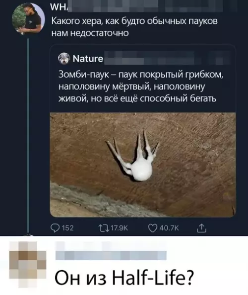 Смешная картинка №366655