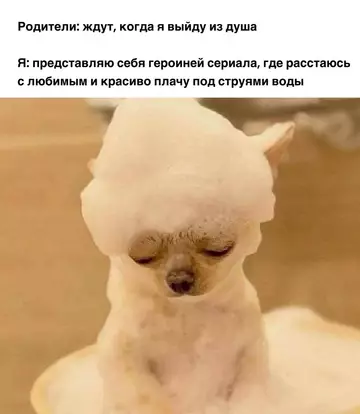 Смешная картинка №736069