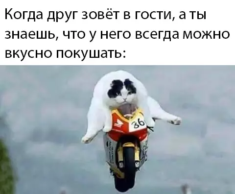Смешная картинка №439528