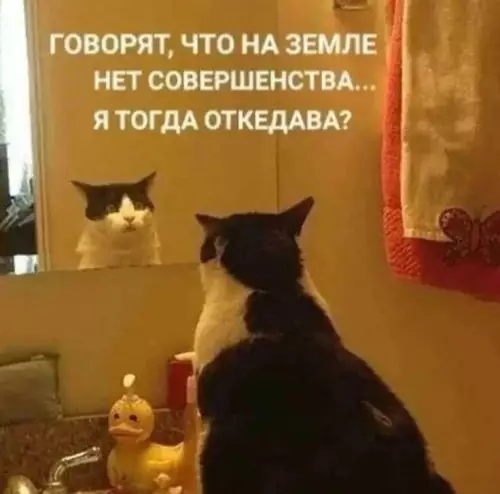 Смешная картинка №773631