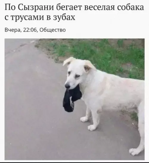 Смешная картинка №745538 Срочные новости 