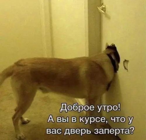 Смешная картинка №644074