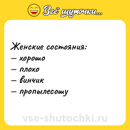 Шутка: Женские состояния:<br>— хорошо<br>— плохо<br>— винчик<br>— пропылесошу