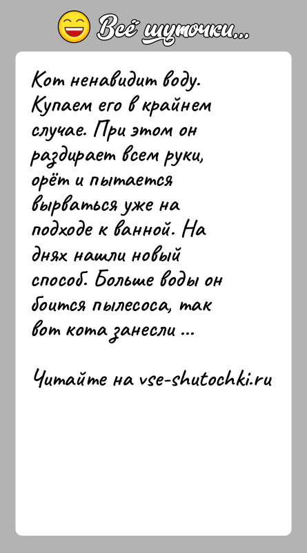 История: Кот ненавидит воду. Купаем его в крайнем случае. При этом он раздирает всем руки, орёт и пытается вырваться уже на