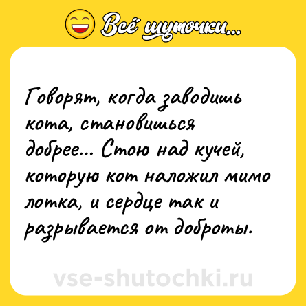 Шутка: Говорят, когда заводишь кота, становишься добрее… Стою над кучей, которую кот наложил мимо лотка, и сердце так и разрывается от доброты.