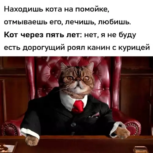 Смешная картинка №701708