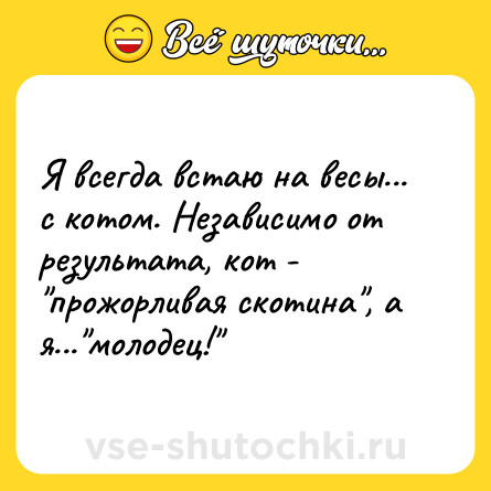Шутка: Я всегда встаю на весы... с котом. Независимо от результата, кот - 