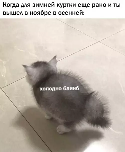 Смешная картинка №664309