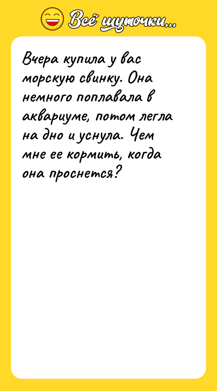 Вчера купила у вас морскую свинку. Она немного поплавала в