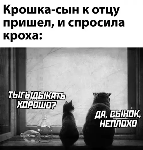 Смешная картинка №604884