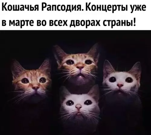 Смешная картинка №335533 Ожидaйте!